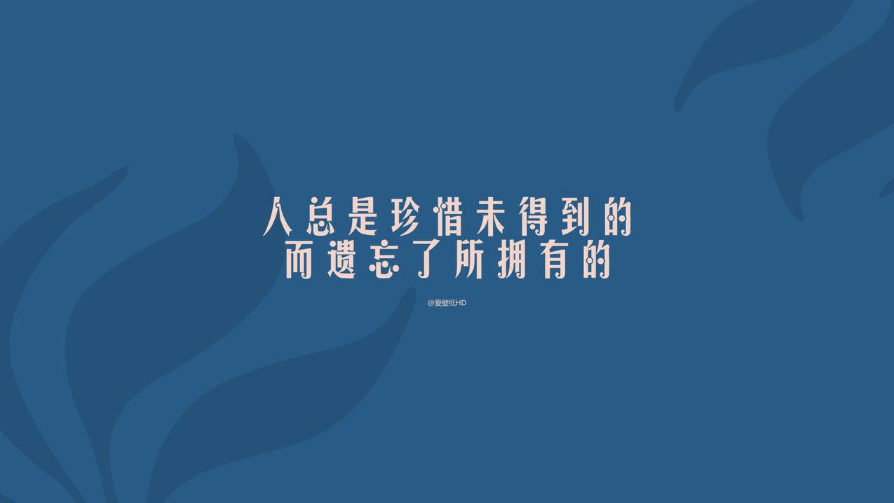 绿洲业务-微博刷转发-快手刷播放-美拍业务